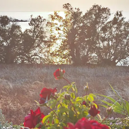 Apartment Ni&gio Sterna 1 *