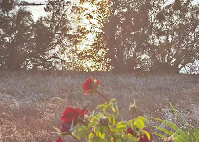 Appartement Ni&gio Sterna 1 *